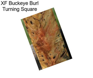 XF Buckeye Burl Turning Square