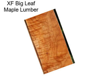 XF Big Leaf Maple Lumber