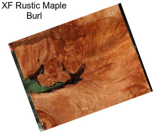 XF Rustic Maple Burl