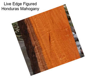 Live Edge Figured Honduras Mahogany