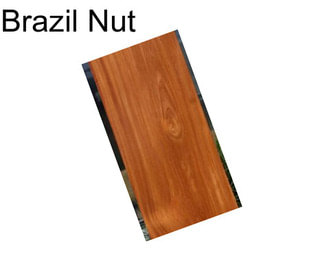 Brazil Nut