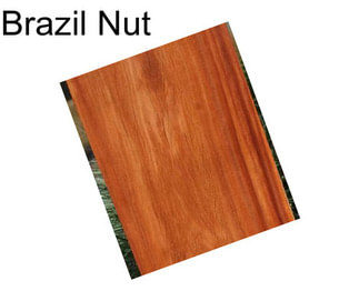 Brazil Nut