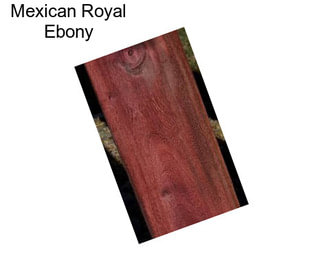 Mexican Royal Ebony