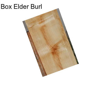 Box Elder Burl