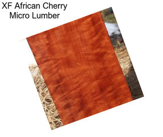 XF African Cherry Micro Lumber