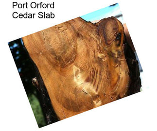 Port Orford Cedar Slab