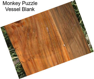 Monkey Puzzle Vessel Blank