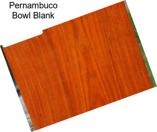 Pernambuco Bowl Blank