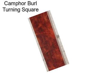 Camphor Burl Turning Square