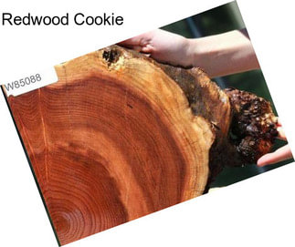 Redwood Cookie