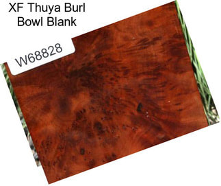 XF Thuya Burl Bowl Blank
