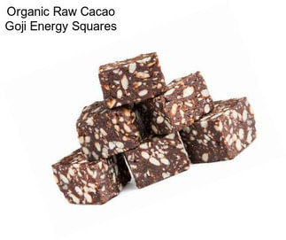 Organic Raw Cacao Goji Energy Squares