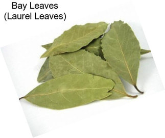 Bay Leaves (Laurel Leaves)