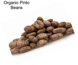 Organic Pinto Beans