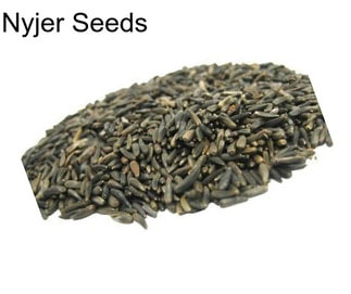 Nyjer Seeds