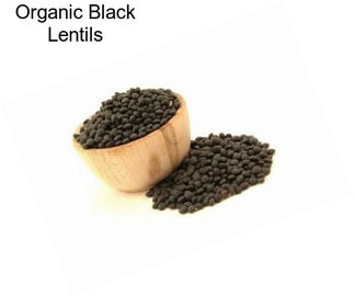 Organic Black Lentils