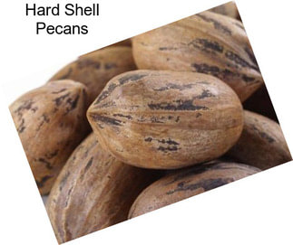 Hard Shell Pecans