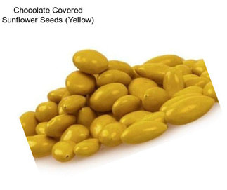 Chocolate Covered Sunflower Seeds (Yellow)