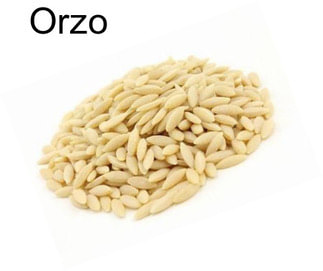 Orzo