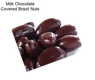 Milk Chocolate Covered Brazil Nuts