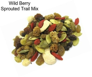 Wild Berry Sprouted Trail Mix