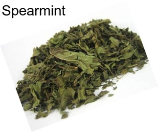 Spearmint