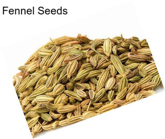 Fennel Seeds