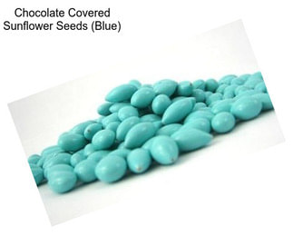 Chocolate Covered Sunflower Seeds (Blue)