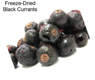 Freeze-Dried Black Currants