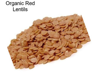 Organic Red Lentils