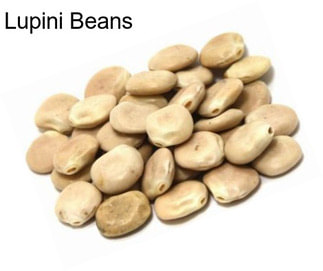 Lupini Beans