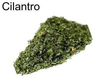 Cilantro