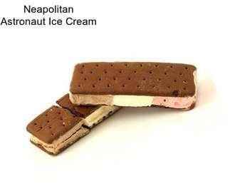 Neapolitan Astronaut Ice Cream