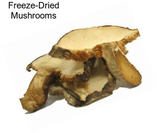 Freeze-Dried Mushrooms