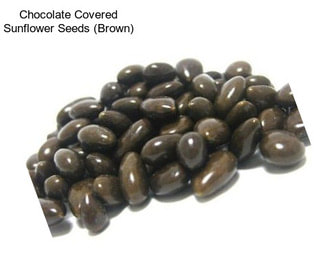 Chocolate Covered Sunflower Seeds (Brown)