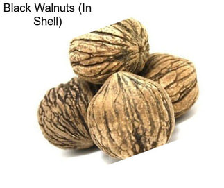 Black Walnuts (In Shell)