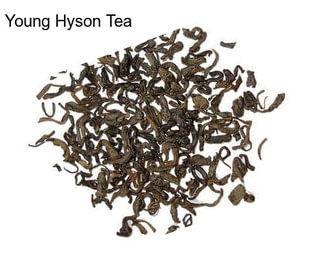 Young Hyson Tea