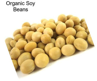 Organic Soy Beans