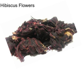 Hibiscus Flowers