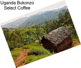 Uganda Bukonzo Select Coffee