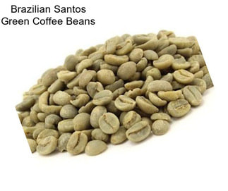 Brazilian Santos Green Coffee Beans