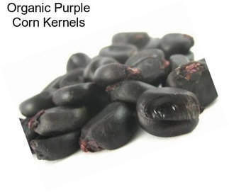 Organic Purple Corn Kernels