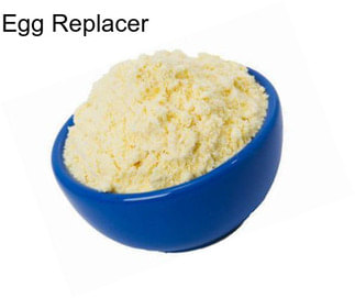 Egg Replacer