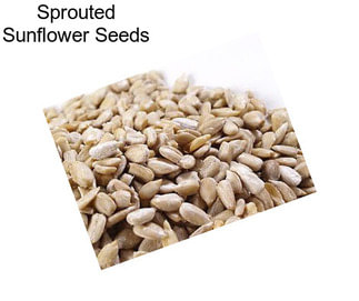Sprouted Sunflower Seeds