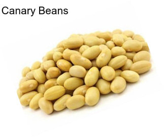 Canary Beans