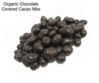 Organic Chocolate Covered Cacao Nibs