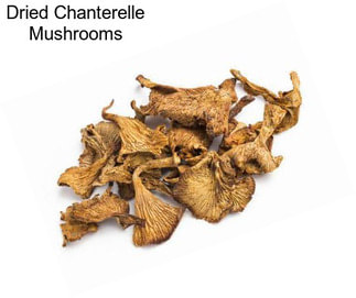 Dried Chanterelle Mushrooms