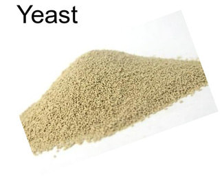 Yeast