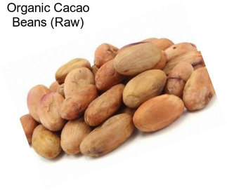 Organic Cacao Beans (Raw)