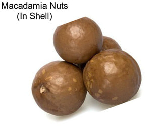 Macadamia Nuts (In Shell)